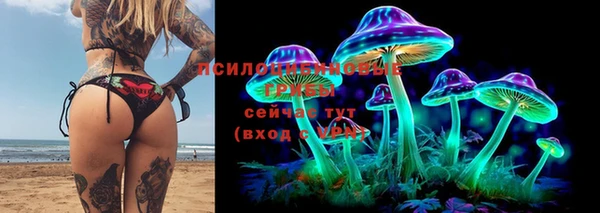 герыч Михайловск